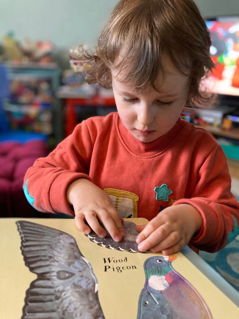 Ruan playing with Birds of a feather book