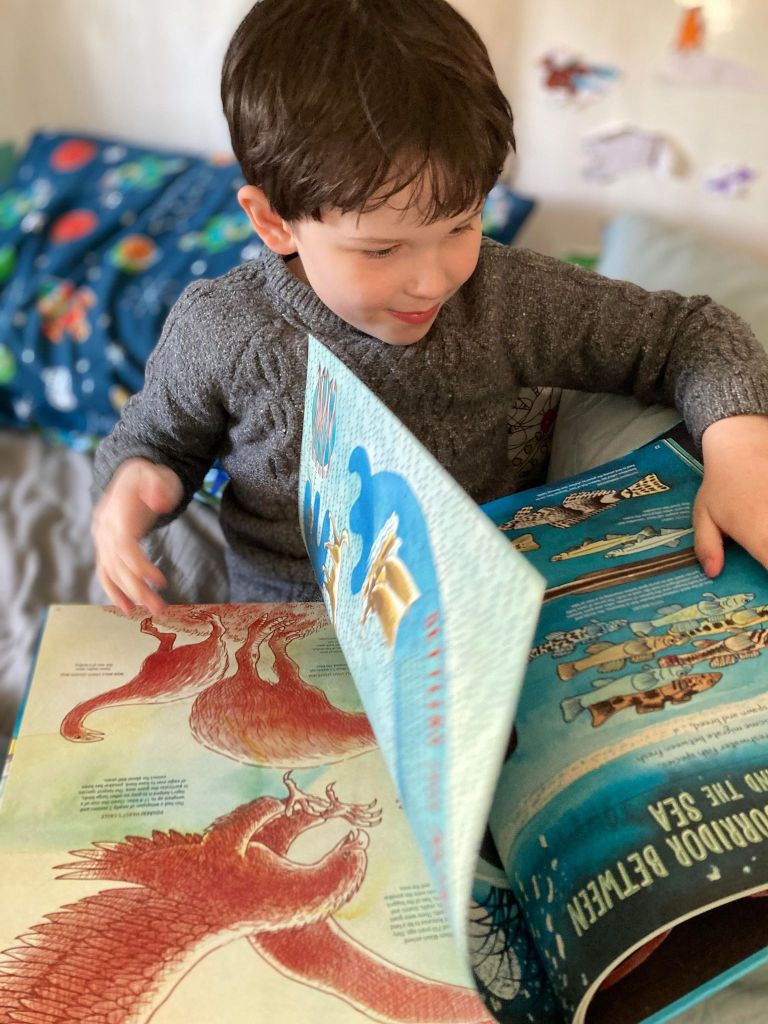 Noah flicking through Wildlife of Aotearoa.
