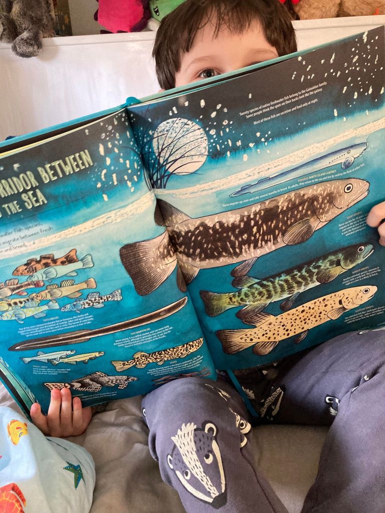 Noah's favourite page from Wildlife of Aotearoa.