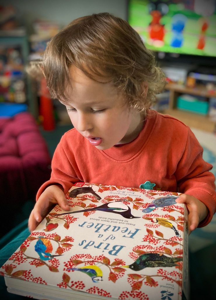 Ruan studying the cover of Birds of a feather book