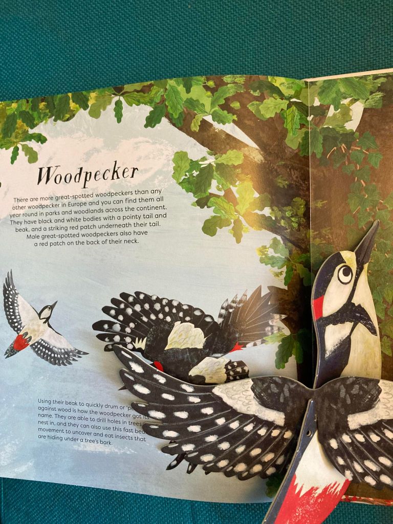 Page from Birds of a feather book