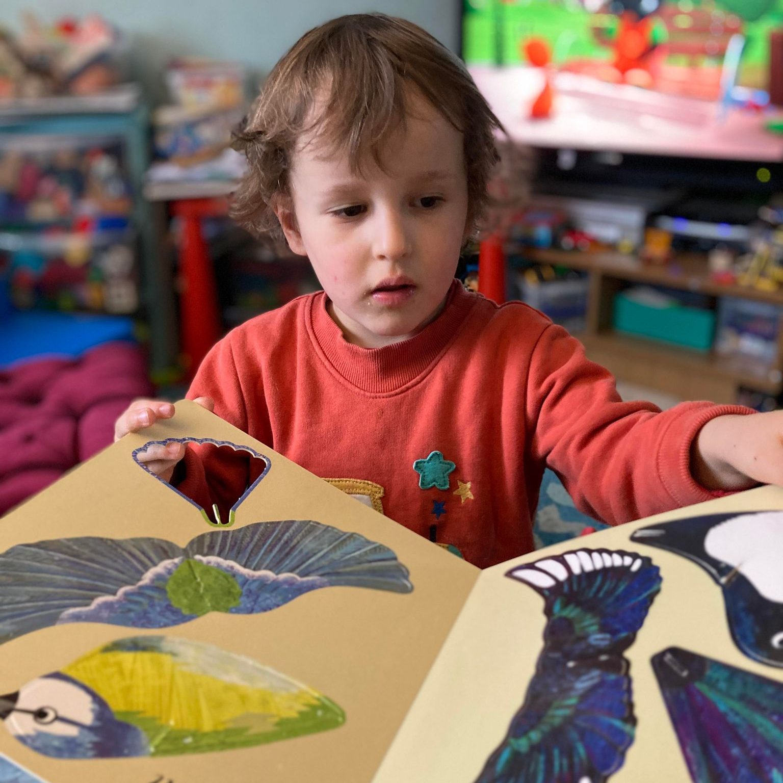 Ruan flicking through Birds of a feather book